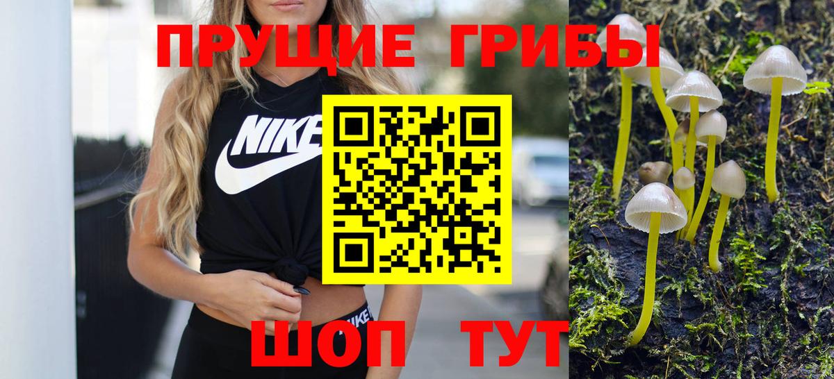 Галлюциногенные грибы ЛСД Заринск