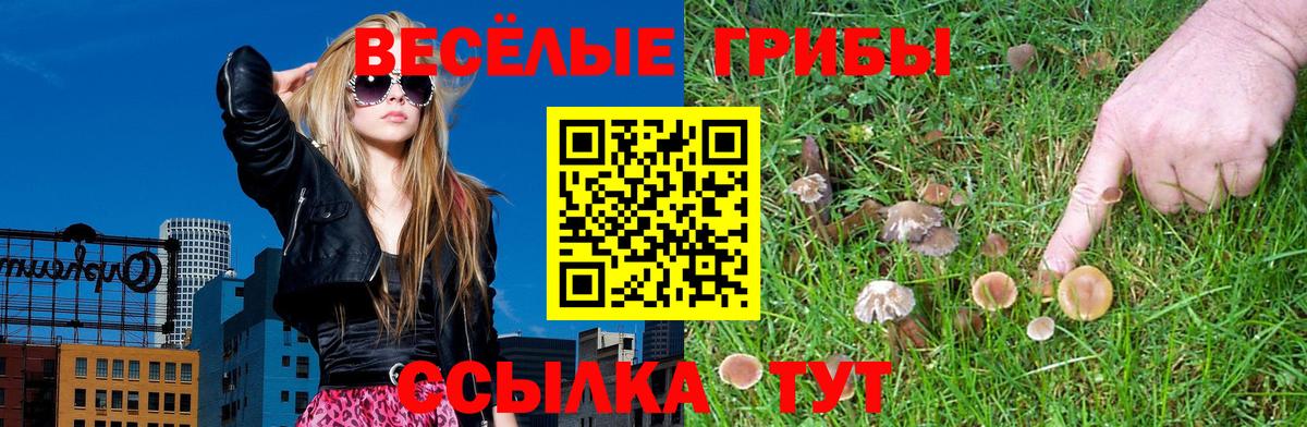Псилоцибиновые грибы Magic Shrooms  Галлюциногенные грибы мицелий  Заринск  Вход с VPN 